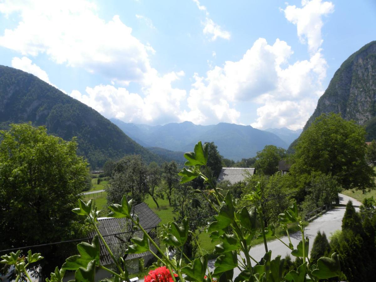 Apartma Cvetek, Srednja Vas 133 Bohinj Extérieur photo
